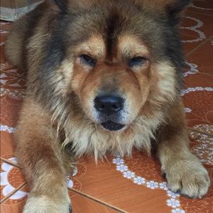 Meet your Posher, Bernadette